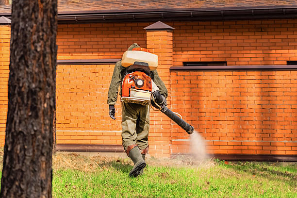 Bed Bug Clearance Verification and Documentation in Chillicothe